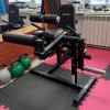 Сгибание/разгибание ног - спина - пресс Vertex FT-3036