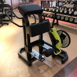 Сгибание ног стоя Gymmaster LAS-13