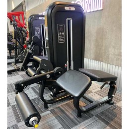 Сгибание ног лежа Insight Fitness TY15