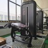 Сгибание ног лежа Insight Fitness TY15
