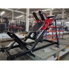 Гакк-присед Insight Fitness TN114