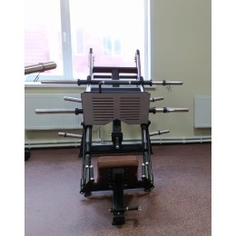 Жим ногами под углом 45 градусов Insight Fitness TN91