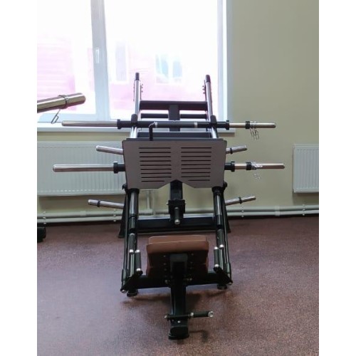 Жим ногами под углом 45 градусов Insight Fitness TN91