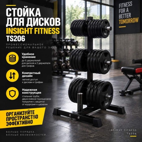 Стойка для дисков Insight Fitness TS206