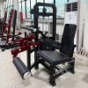 Сгибание/разгибание ног Gymmaster EK112