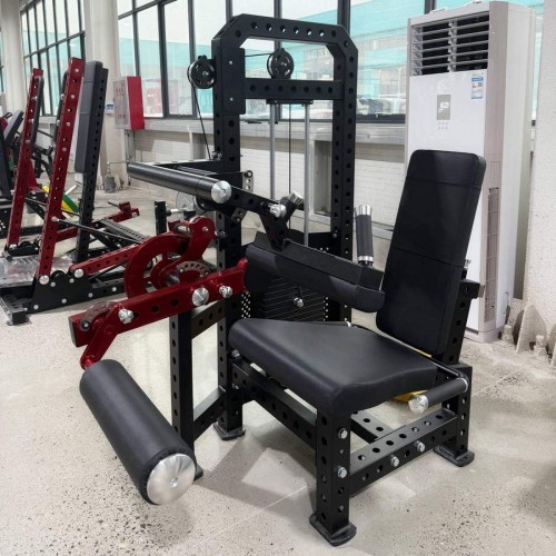 Сгибание/разгибание ног Gymmaster EK112