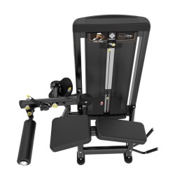 Сгибание ног лежа Insight Fitness BH13