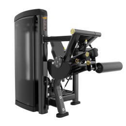 Сгибание ног Insight Fitness BH12