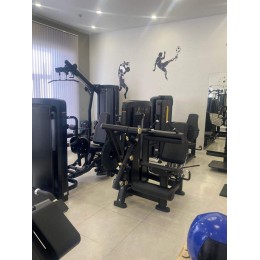 Сгибание/разгибание ног Insight Fitness BH33