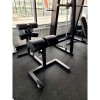 Гиперэкстензия горизонтальная (римский стул) GHD Insight Fitness DZ31