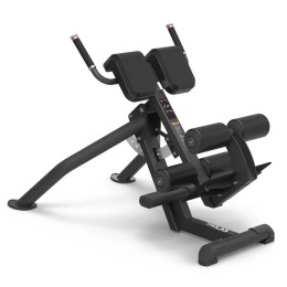 Гиперэкстензия наклонная Insight PTT0224F