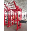 Силовая рама Insight Fitness TM101