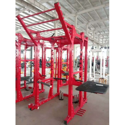Силовая рама Insight Fitness TM101