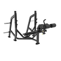 Скамья для жима с отрицательным наклоном Insight Fitness BH48