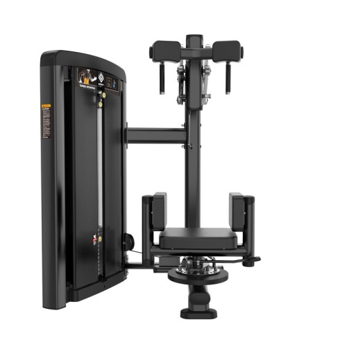 Торс-машина Insight Fitness BH20