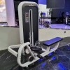 Горизонтальная тяга Insight Fitness TY09