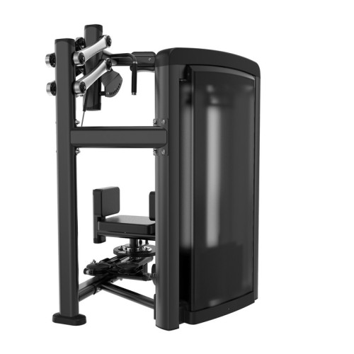 Торс-машина Insight Fitness BH20