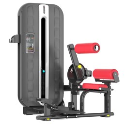 Пресс-машина/разгибание спины Gymmaster XLY-09/10