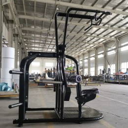 Верхняя тяга Insight Fitness DZ91