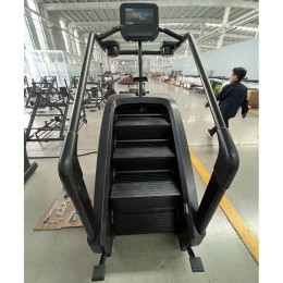 Лестница-степпер Insight Fitness EB8900 (LCD)