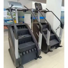 Лестница-степпер Gymmaster LZX-P11 Max