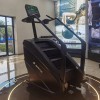 Лестница-степпер Insight Fitness EB8900 (LED)