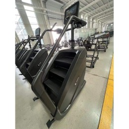 Лестница-степпер Insight Fitness EB8900 (LCD)
