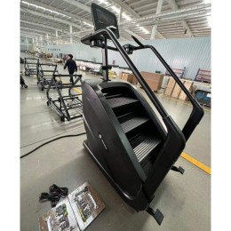 Лестница-степпер Insight Fitness EB8900 (LCD)