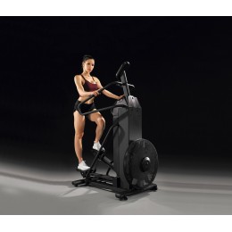 Степпер Vertex FS-22