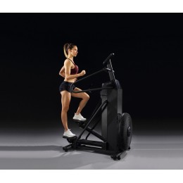 Степпер Vertex FS-22