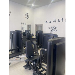 Сведение/разведение ног Insight Fitness BH34