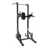 Турник-пресс-брусья Insight Fitness TM100