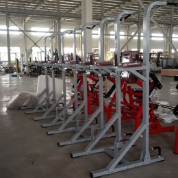 Турник-пресс-брусья Insight Fitness TM100