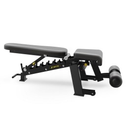 Скамья универсальная Insight Fitness DZ61
