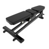 Скамья универсальная Insight Fitness BH43
