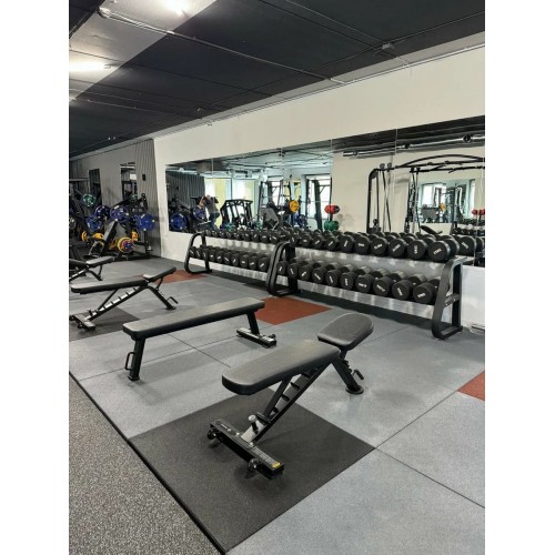Скамья универсальная Insight Fitness TS213