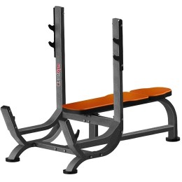 Скамья для французского жима ProfiGym СК-0460-H