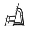 Рама для приседов BRONZE GYM BR-1015