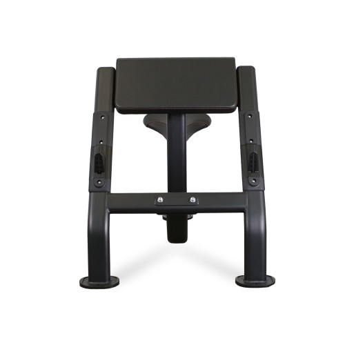 Скамья Скотта BRONZE GYM BR-1007