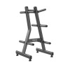 Стойка для дисков BRONZE GYM BR-1023