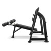Скамья для жима с отрицательным наклоном BRONZE GYM BR-1013