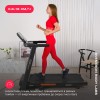 Беговая дорожка SVENSSON BODY LABS BALANCE D