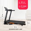 Беговая дорожка SVENSSON BODY LABS BALANCE D