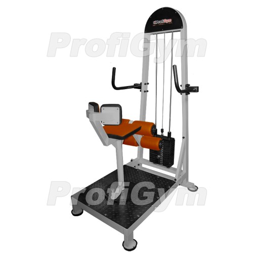 Торс-машина Profigym ТГ-0370