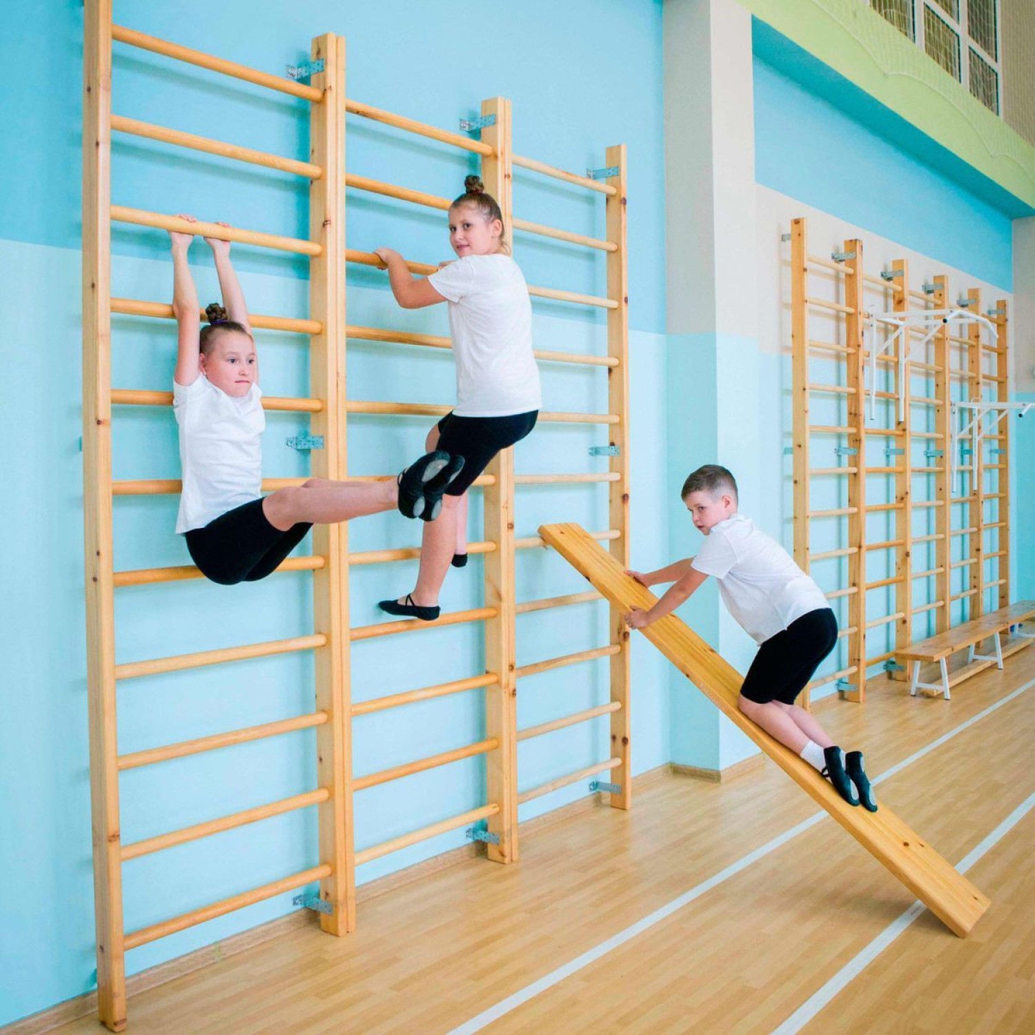 шведские стенки гимнастические стенки