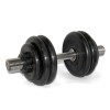 Гантель разборная МВ Barbell 36.5 кг, 51 мм