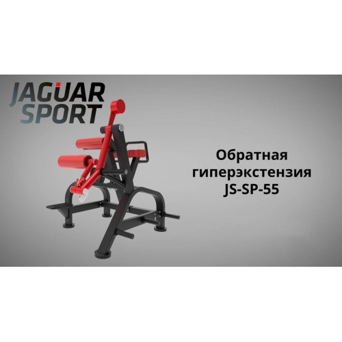 Обратная гиперэкстензия JAGUAR-SPORT JS-SP-55