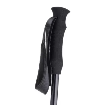 аналоговые палки как на горных лыжах